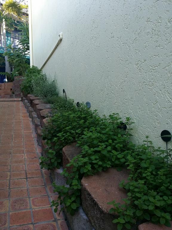 Reef Lodge Backpackers Townsville Exterior foto